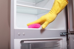 hűtő tisztítás