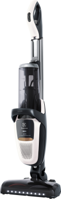Electrolux PF91-ALRGY porszívó